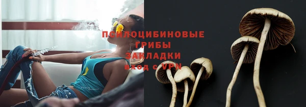 соль курить ск Богородицк