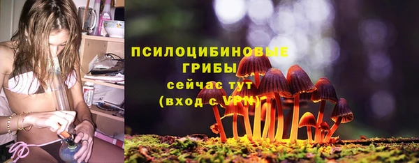 Альфа ПВП Богданович